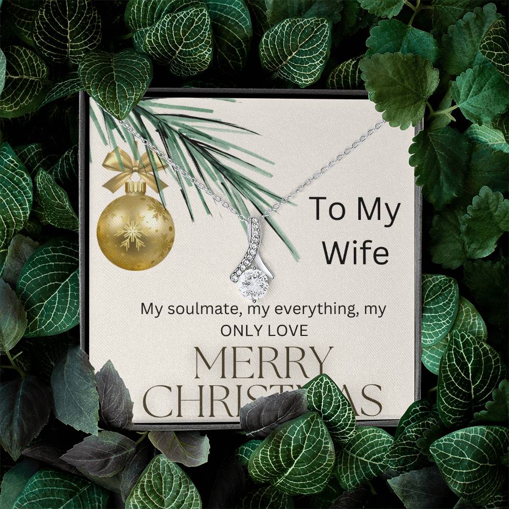 Merry Christmas to my Wife