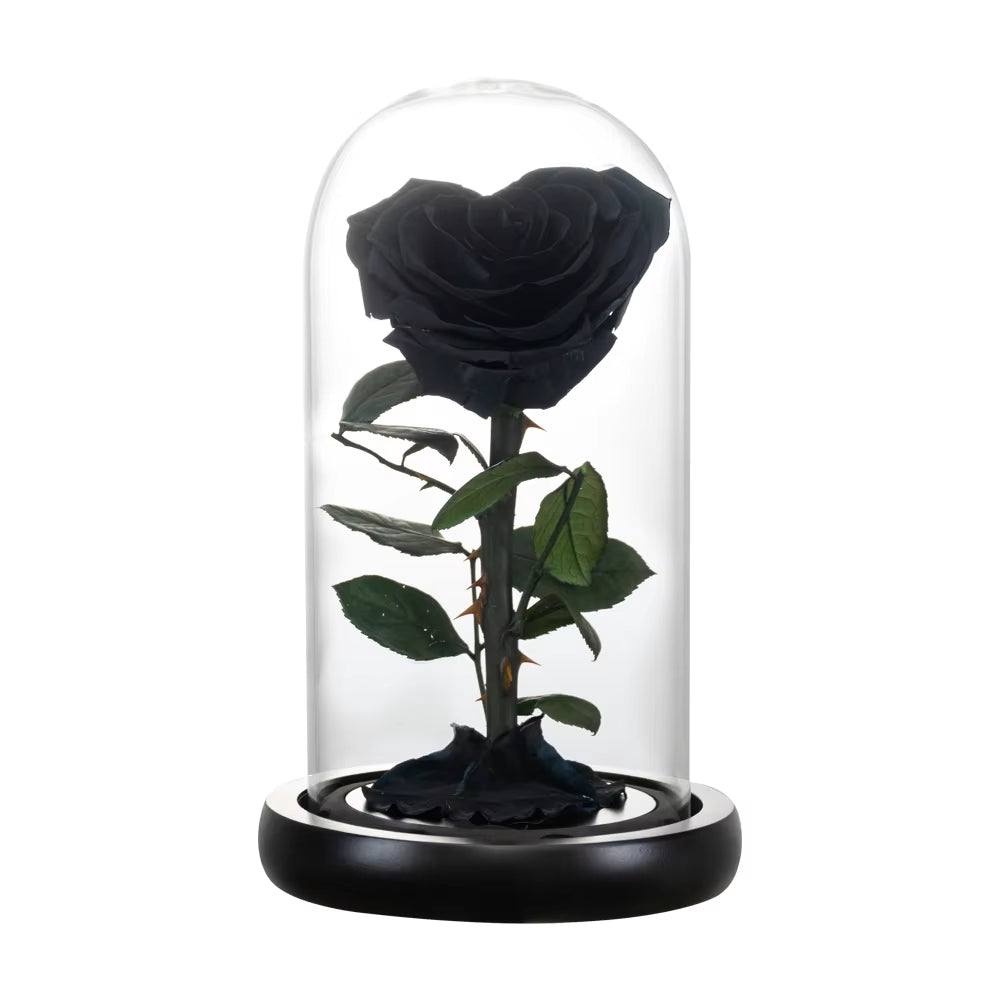 Heart Shaped Preserved Rose Beauty and the Beast Eternal Rose in Glass Dome Wedding Forever Flowers Valentines Day