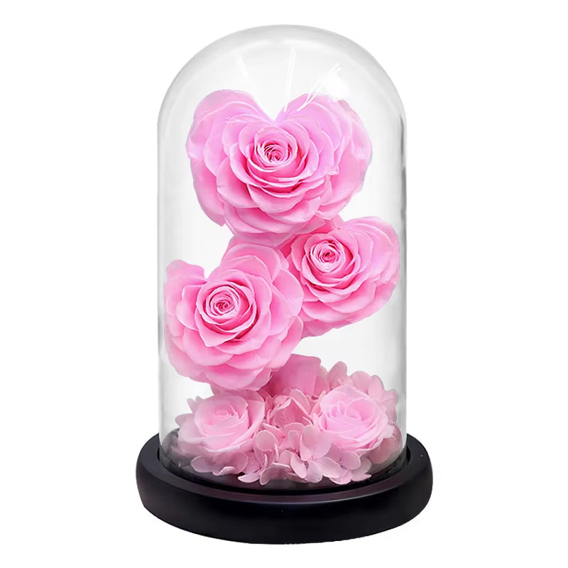 Heart Shaped Preserved Rose Beauty and the Beast Eternal Rose in Glass Dome Wedding Forever Flowers Valentines Day