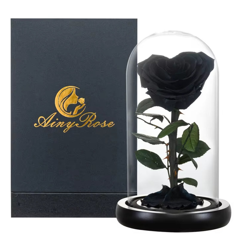 Heart Shaped Preserved Rose Beauty and the Beast Eternal Rose in Glass Dome Wedding Forever Flowers Valentines Day