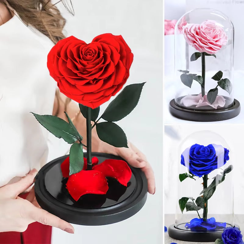 Heart Shaped Preserved Rose Beauty and the Beast Eternal Rose in Glass Dome Wedding Forever Flowers Valentines Day