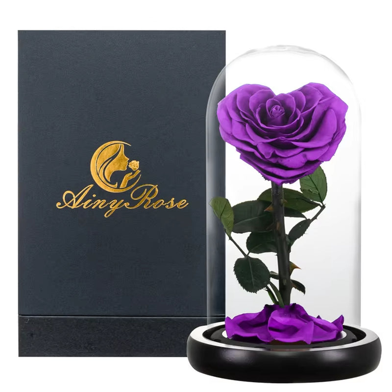 Heart Shaped Preserved Rose Beauty and the Beast Eternal Rose in Glass Dome Wedding Forever Flowers Valentines Day