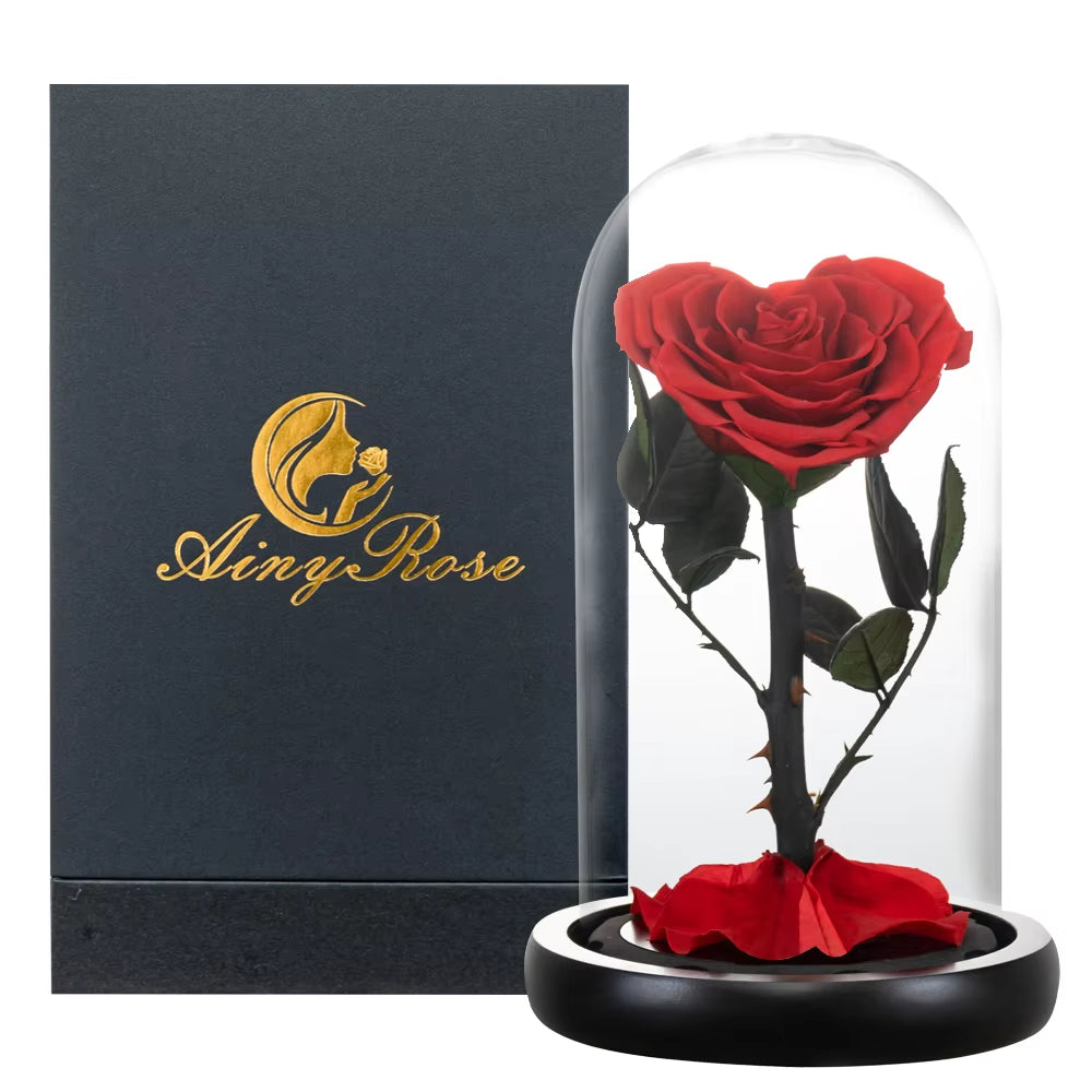 Heart Shaped Preserved Rose Beauty and the Beast Eternal Rose in Glass Dome Wedding Forever Flowers Valentines Day