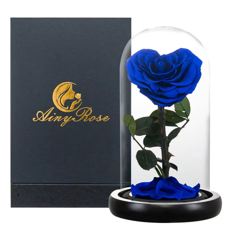 Heart Shaped Preserved Rose Beauty and the Beast Eternal Rose in Glass Dome Wedding Forever Flowers Valentines Day