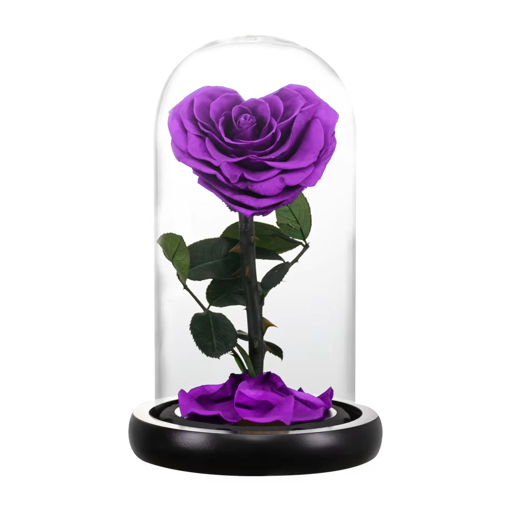 Heart Shaped Preserved Rose Beauty and the Beast Eternal Rose in Glass Dome Wedding Forever Flowers Valentines Day