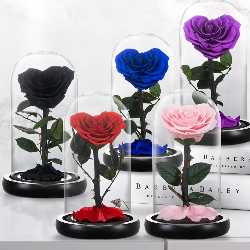 Heart Shaped Preserved Rose Beauty and the Beast Eternal Rose in Glass Dome Wedding Forever Flowers Valentines Day