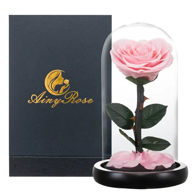 Heart Shaped Preserved Rose Beauty and the Beast Eternal Rose in Glass Dome Wedding Forever Flowers Valentines Day