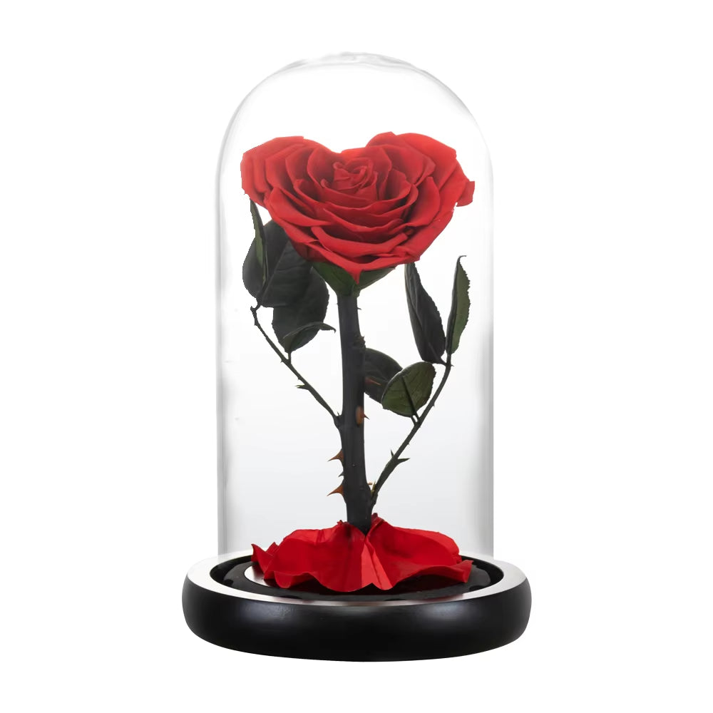 Heart Shaped Preserved Rose Beauty and the Beast Eternal Rose in Glass Dome Wedding Forever Flowers Valentines Day